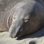 cambria2012CN_0095 (November 04, 2012)